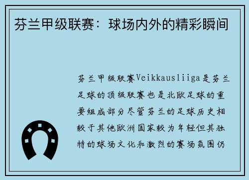 芬兰甲级联赛：球场内外的精彩瞬间